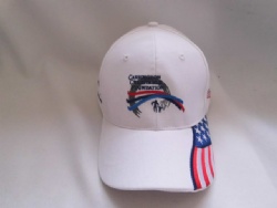 Professional custom made cotton twill 6 panel structured sports baseball cap