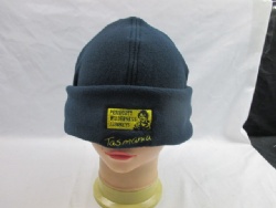 polor fleece beanie