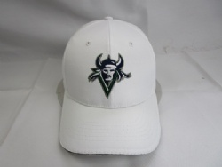 Sporting rip stop baseball cap famous brand