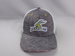 Jersey sandwich mesh fitted style hat with custom PVC rubber design