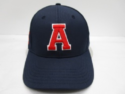 AU school design baseball hat