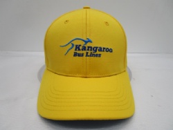 AU custom design rip stop mesh hat