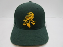 100% acrylic custom embroidery curved brim baseball cap