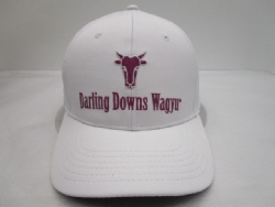 baseball 80% acrylic 20% wool baseball cap CUSTOM logo