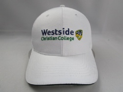 Wholesale Embroidery Custom Cap rip stop mesh