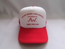 Trucker Cap Custom Logo Foam Mesh Cap Printing truck Cap